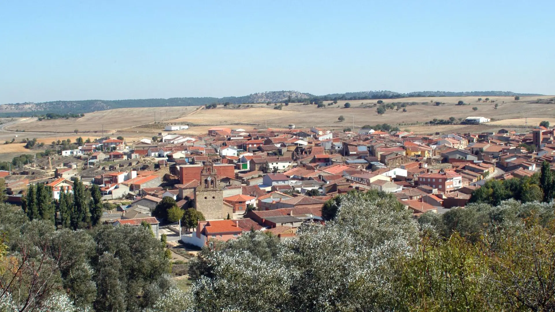El pueblo de Zamora donde el Ayuntamiento se ofrece a hacer la compra a sus vecinos