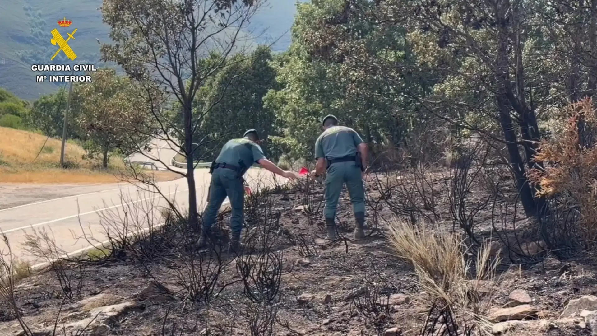 Detenido un hombre e investigado otro por presuntamente provocar 15 incendios en la provincia de Zamora