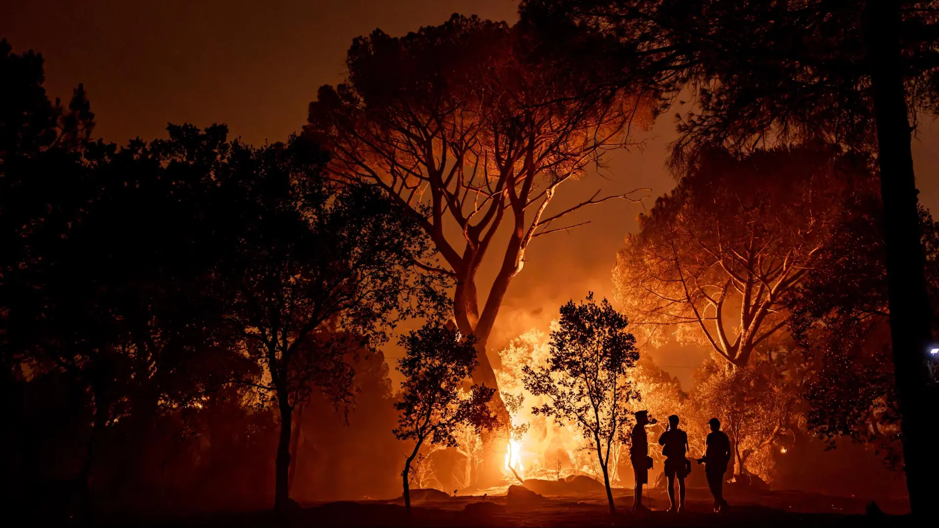 El incendio de Ávila es el mayor en la historia de España: ha arrasado ya 50.000 hectáreas
