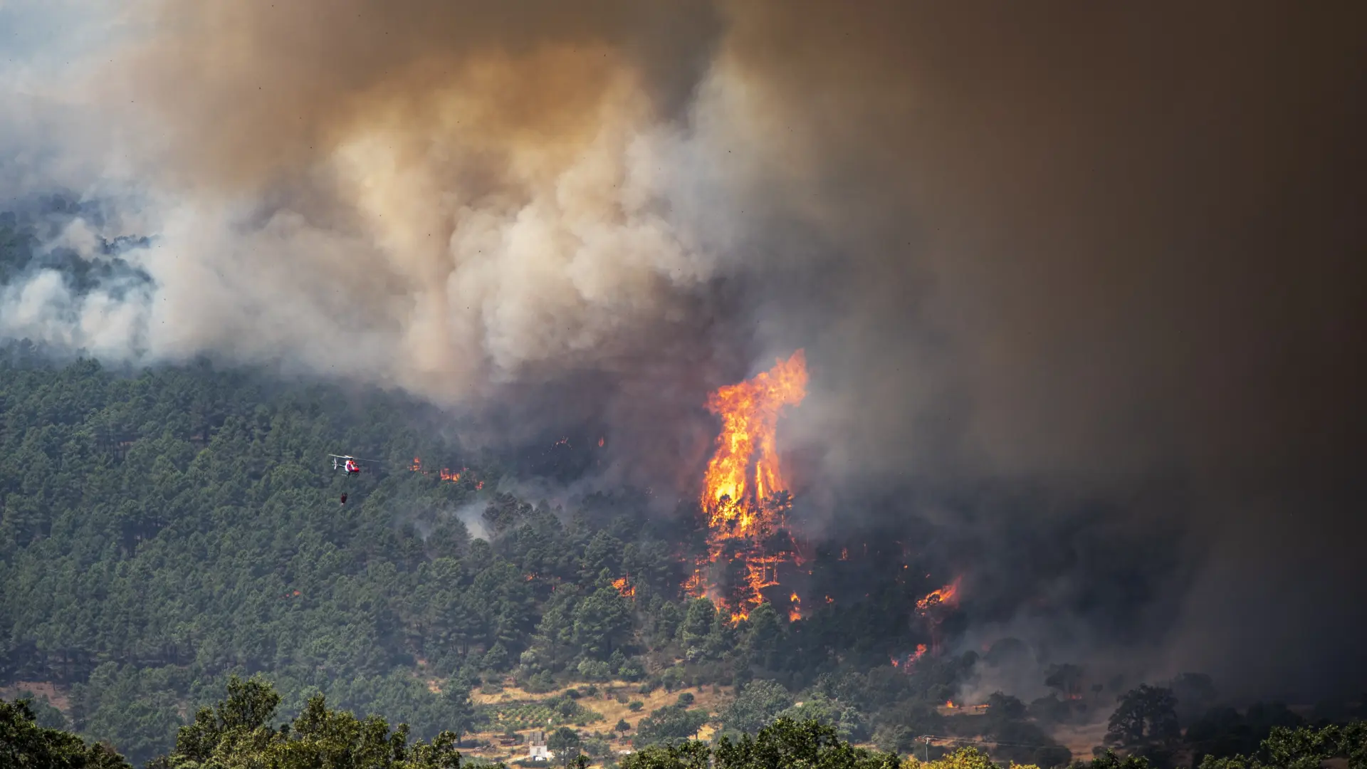Vecinos de El Tiemblo evitan con «palas y rastrillos» que el incendio de Ávila devore El Castañar