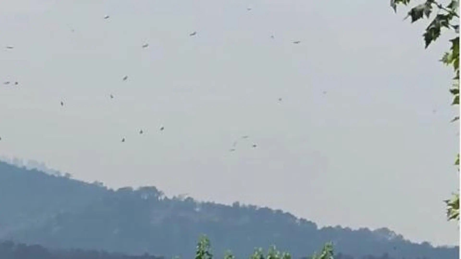 Los buitres de la Reserva Natural del Valle de Iruelas sobrevuelan el cielo de El Tiemblo ante el avance de los incendios