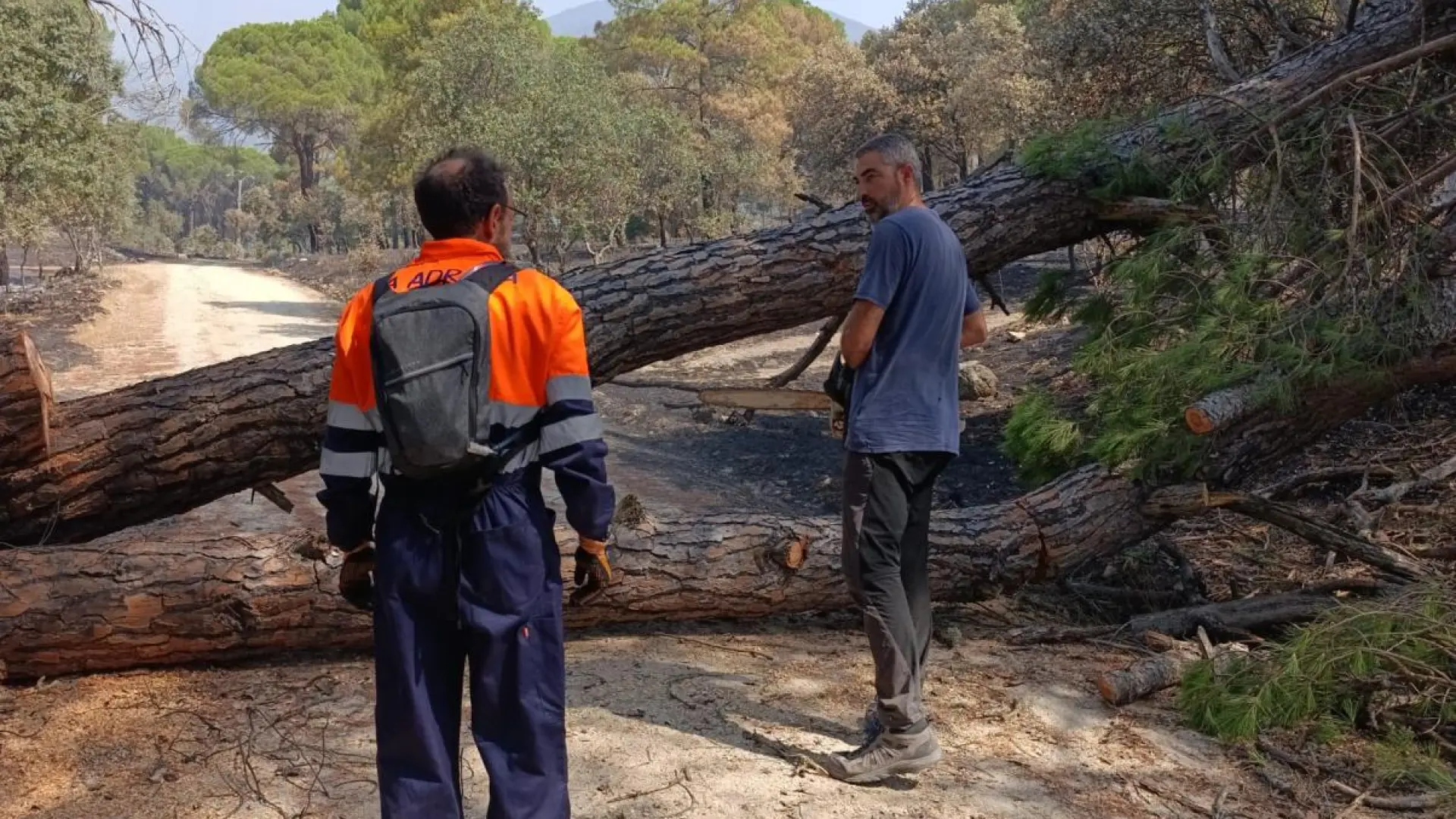 El regreso con peligro a un paraje fundido a negro: “De repente puedes hundirte medio metro”