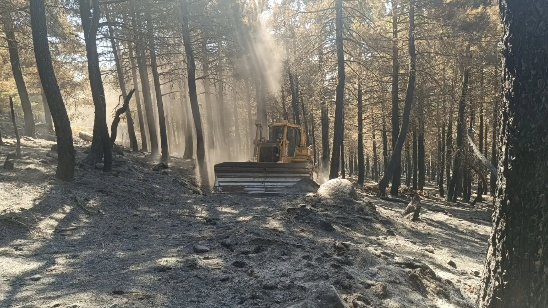 Castilla y León moviliza 90 millones para la recuperación de las zonas quemadas por el grave incendio y realojos