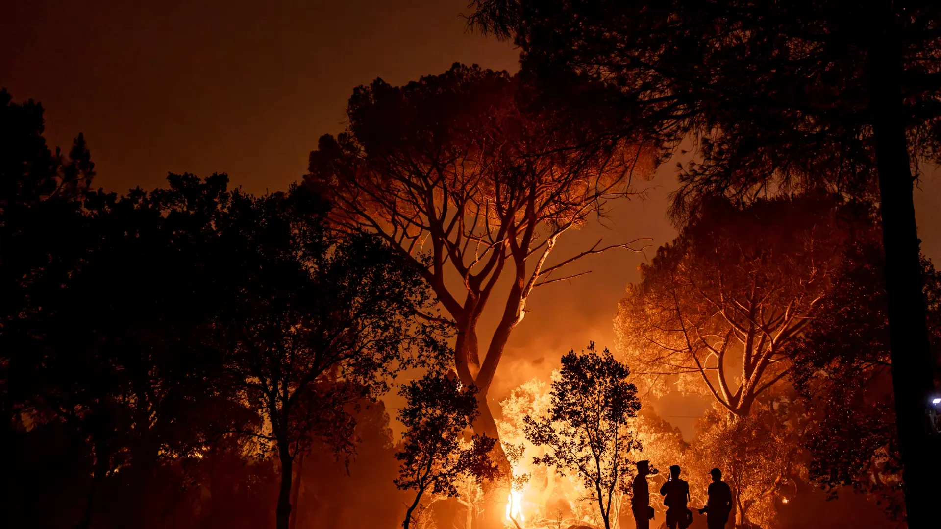 Las familias desalojadas por los incendios de Castilla y León ya pueden pedir una ayuda de 500 euros: plazos y requisitos