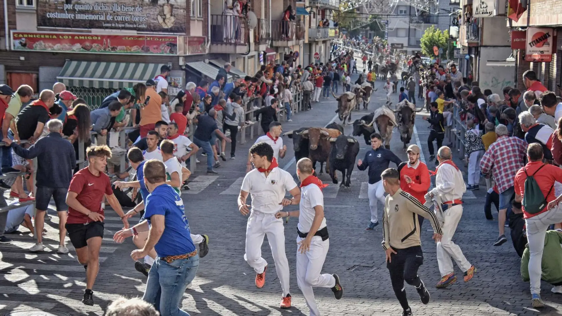Un herido por asta de toro en un multitudinario primer encierro de Cuéllar